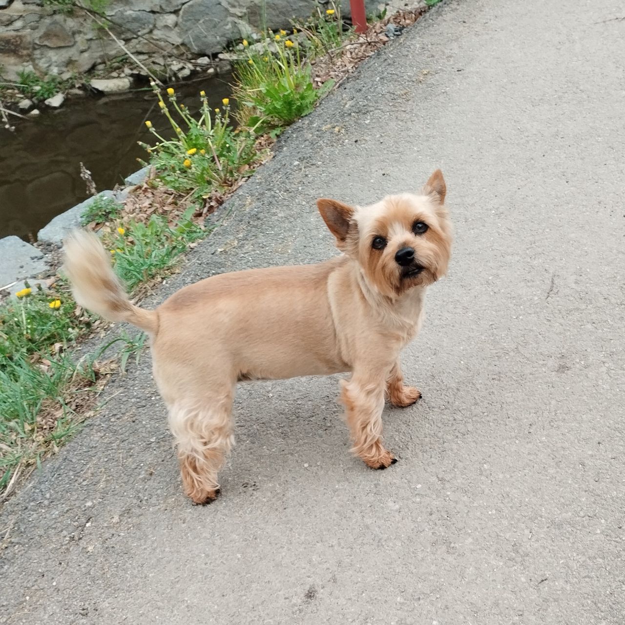 Soutěžní fotografie - Betty,  Ostatní