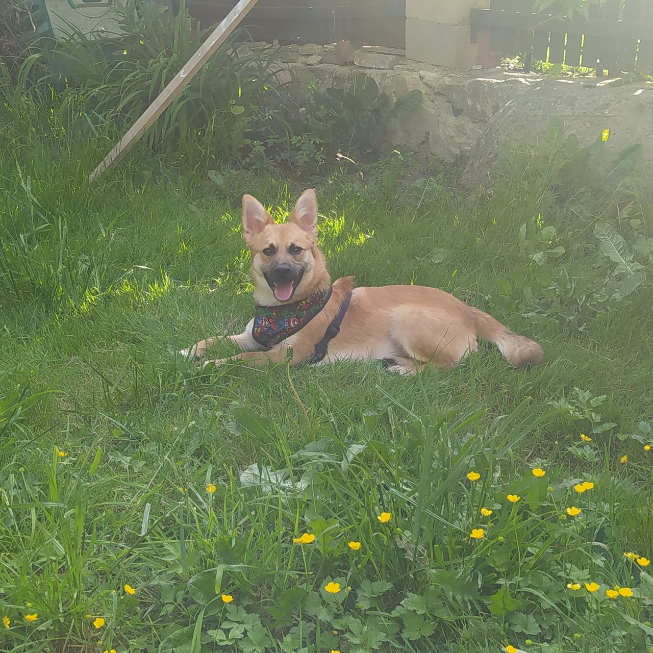Soutěžní fotografie - Junior,  Ostatní