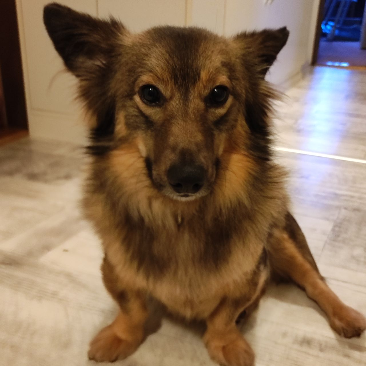 Soutěžní fotografie - Max,  Ostatní