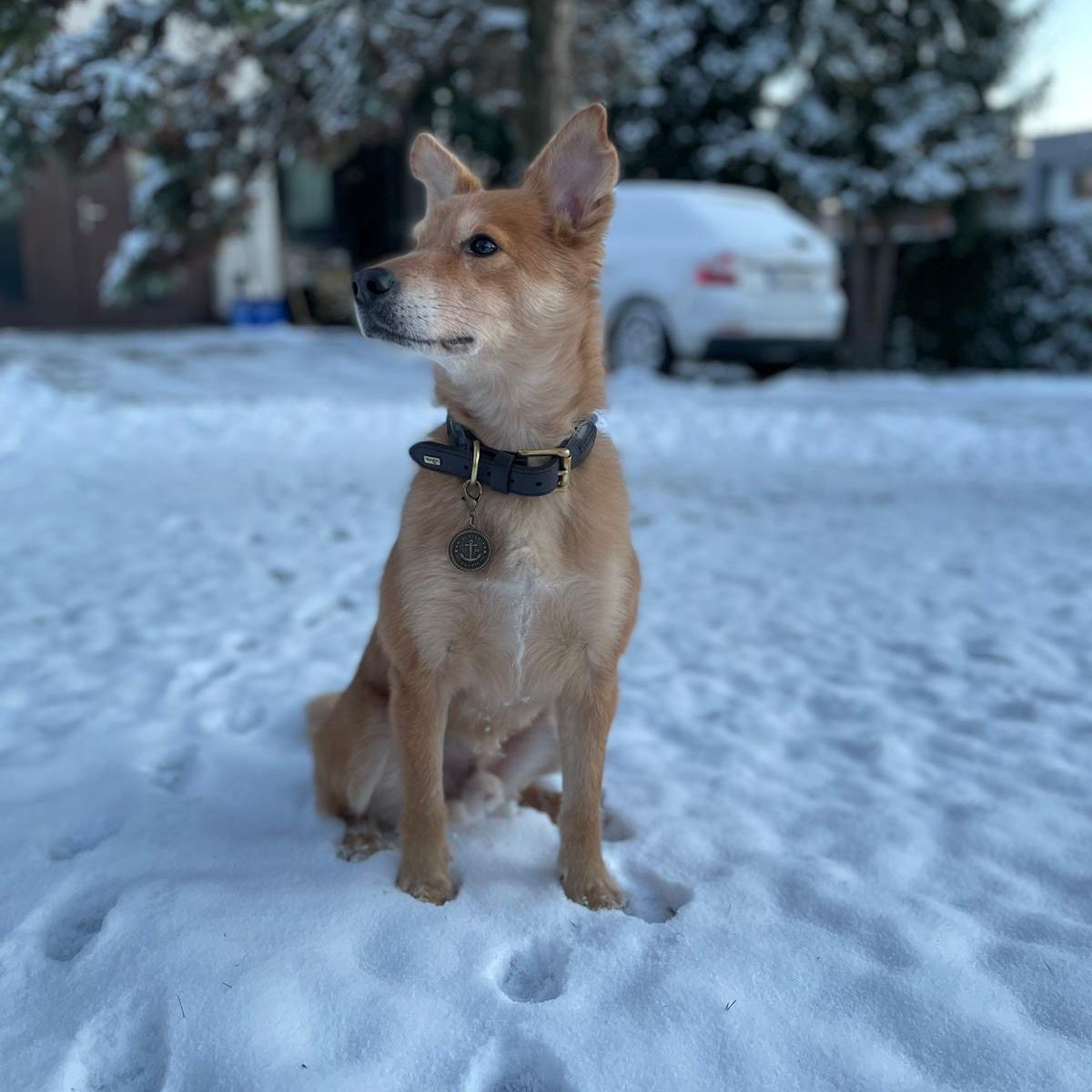 Soutěžní fotografie - Spencer,  Ostatní