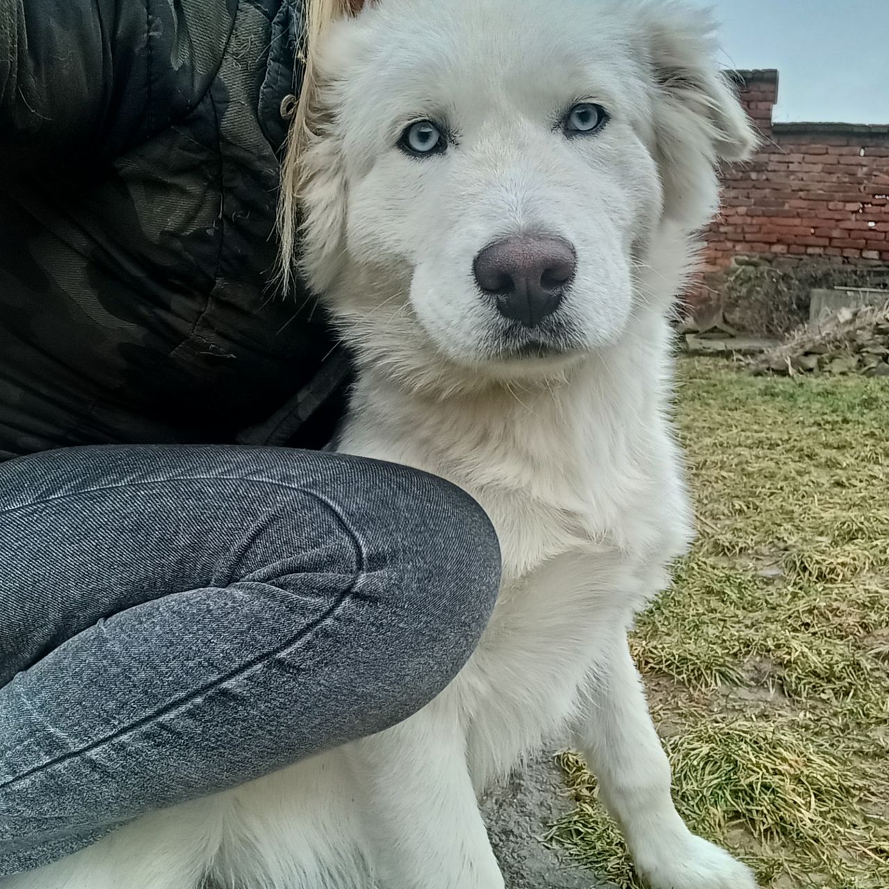 Soutěžní fotografie - Matthew ,  Ostatní