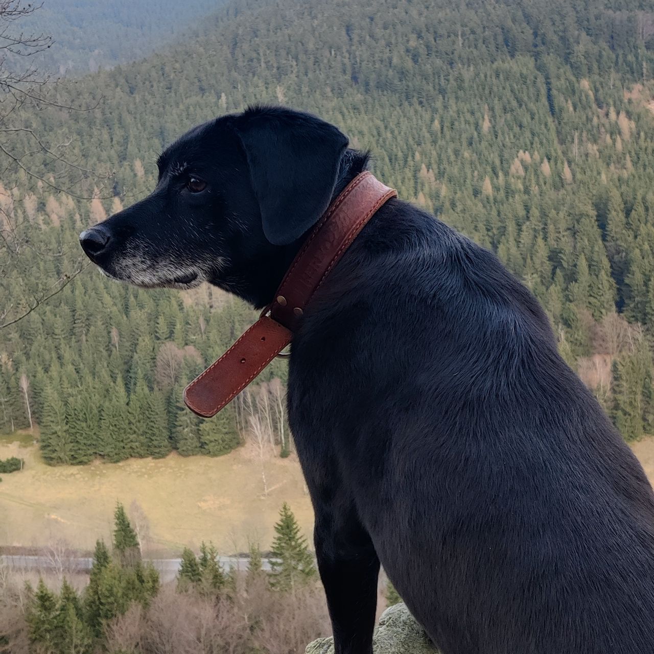 Soutěžní fotografie - Buffy,  Ostatní