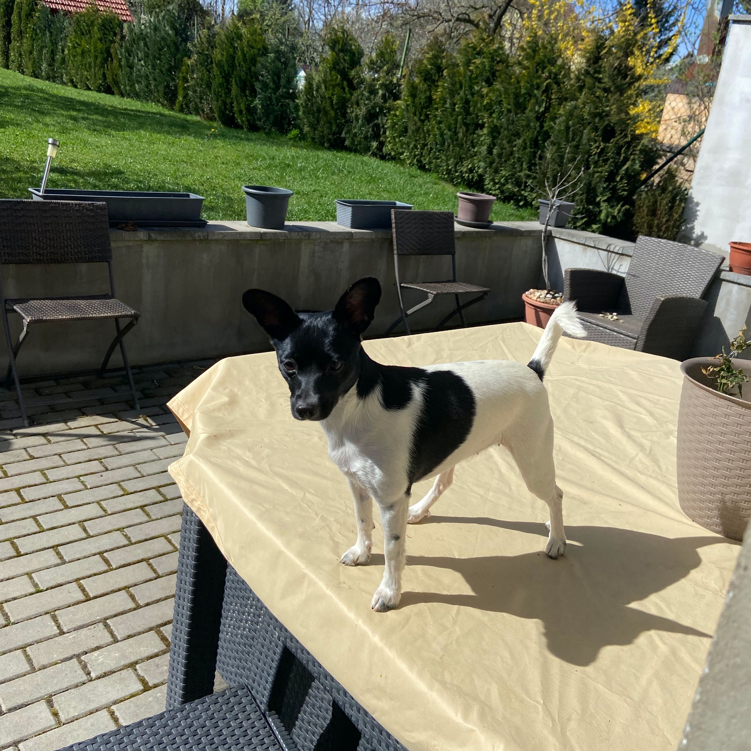 Soutěžní fotografie - Amy,  Ostatní