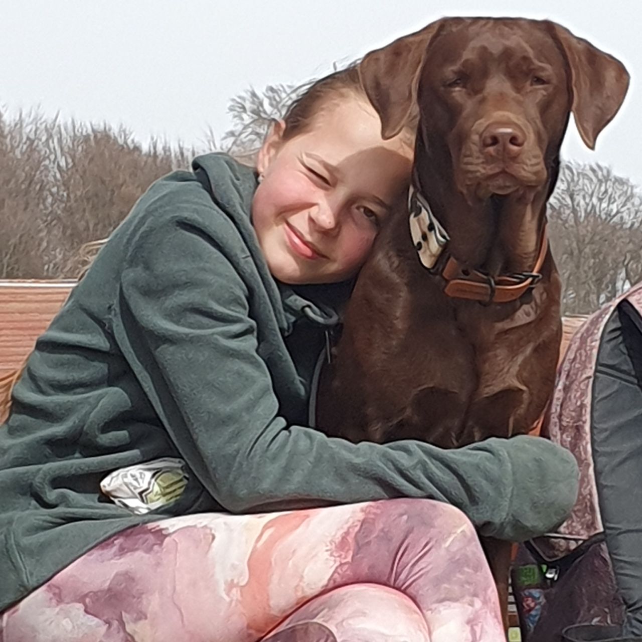 Soutěžní fotografie - Fíbí,  Labradorský retriever