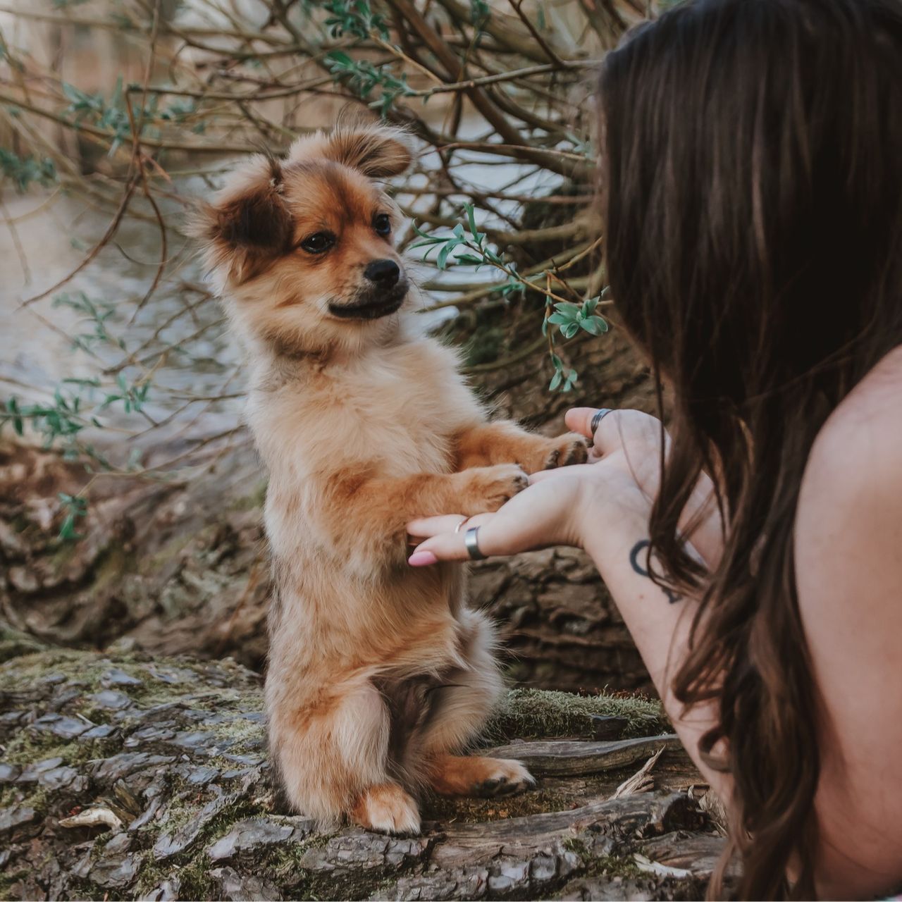 Soutěžní fotografie - Joey,  Ostatní