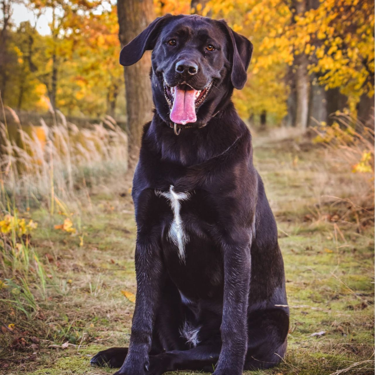 Soutěžní fotografie - Trudy,  Ostatní