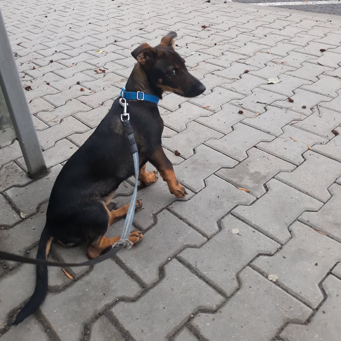 Soutěžní fotografie - ČENDA,  Ostatní