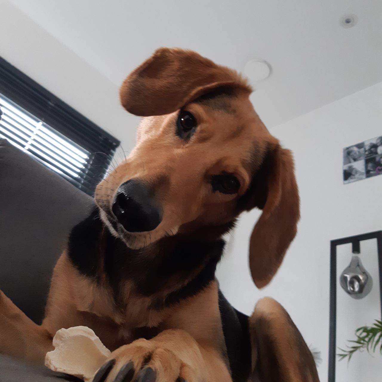 Soutěžní fotografie - Benny ,  Ostatní