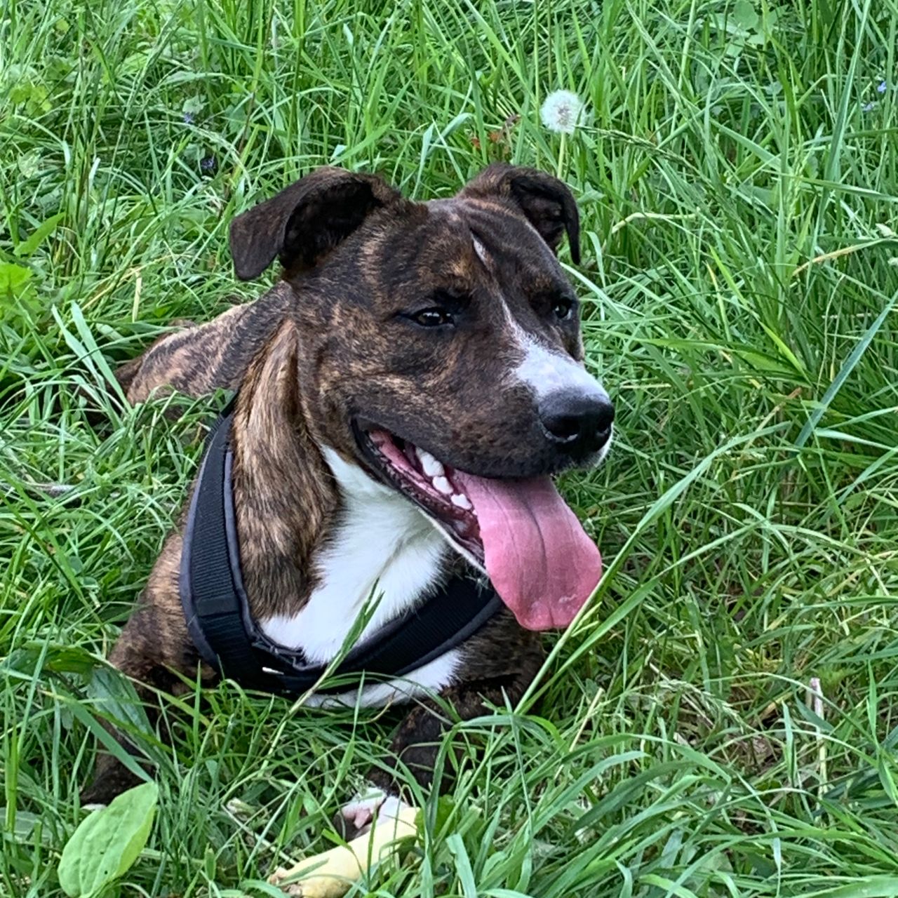 Soutěžní fotografie - Rocky,  Ostatní