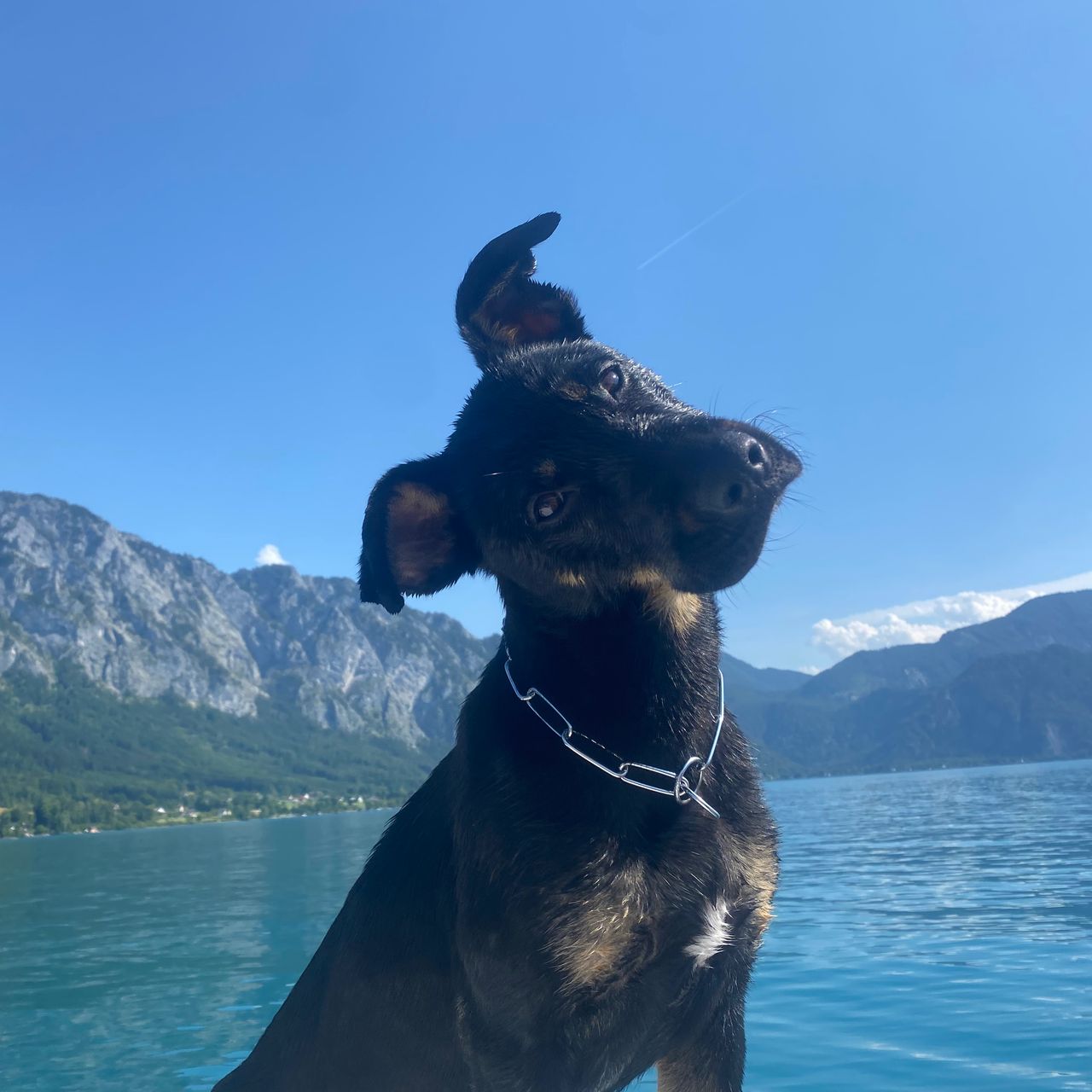 Soutěžní fotografie - Chilli,  Ostatní