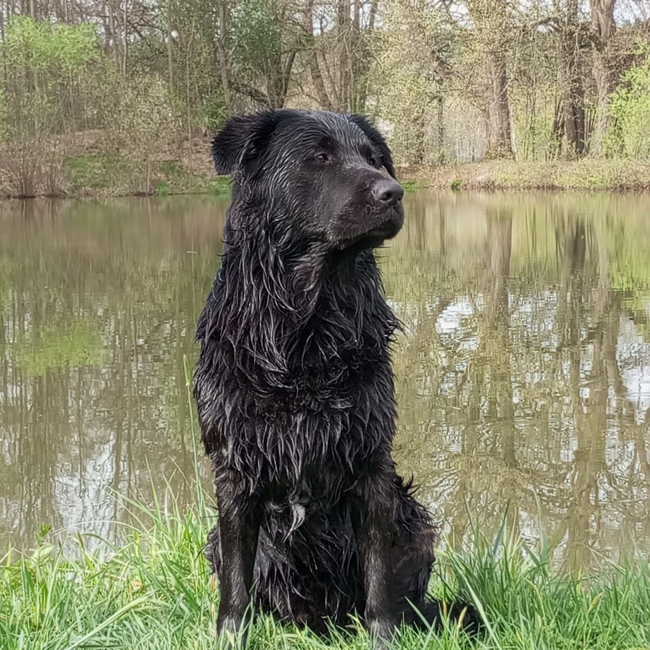 Soutěžní fotografie - Brix,  Ostatní