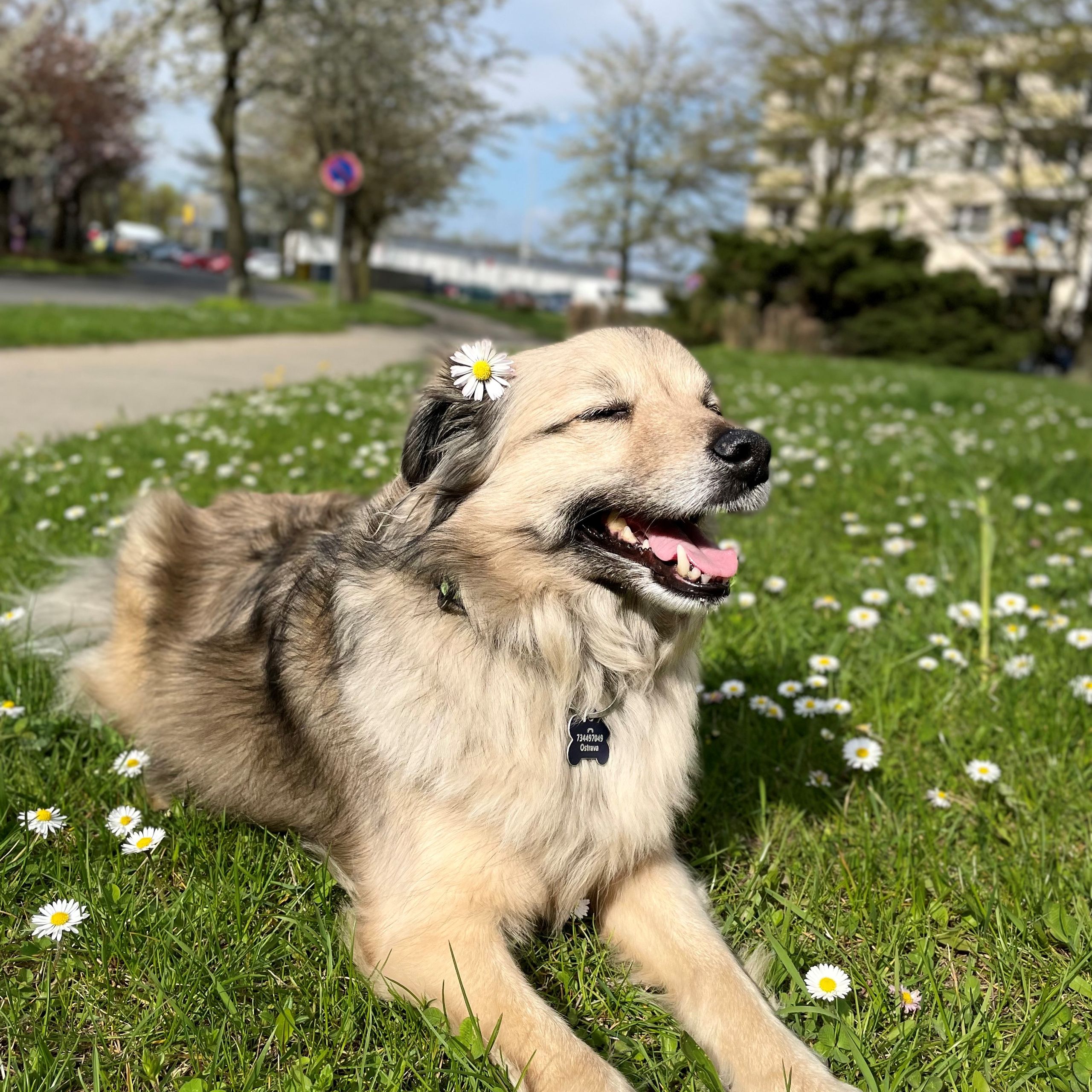Soutěžní fotografie - Raul,  Ostatní