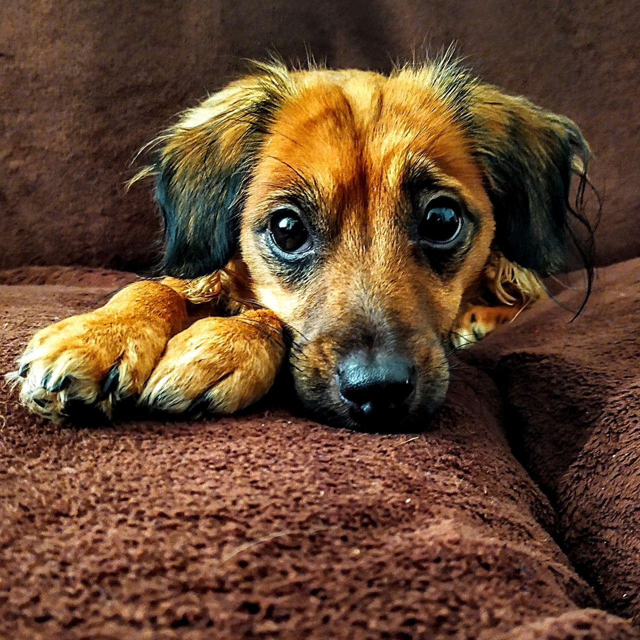 Soutěžní fotografie - Bugy,  Ostatní