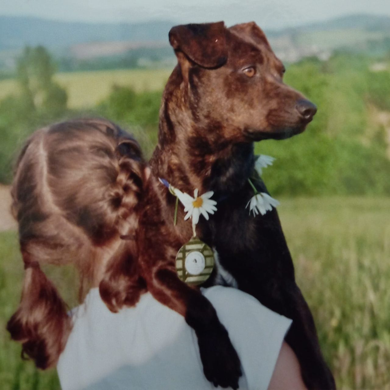 Soutěžní fotografie - Charles,  Ostatní