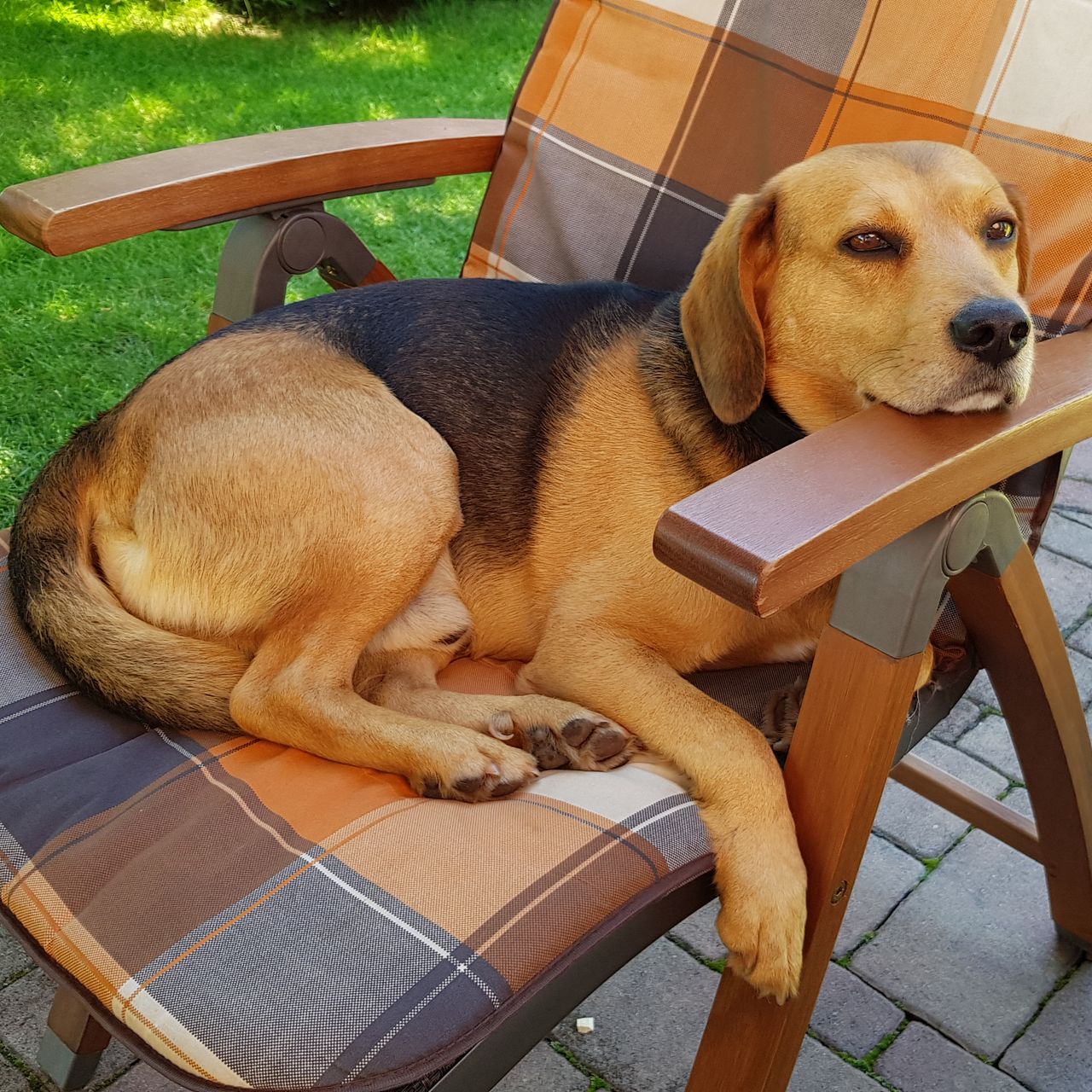 Soutěžní fotografie - Kendy,  Ostatní