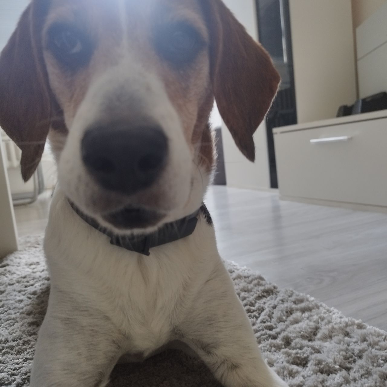 Soutěžní fotografie - Leksi,  Ostatní