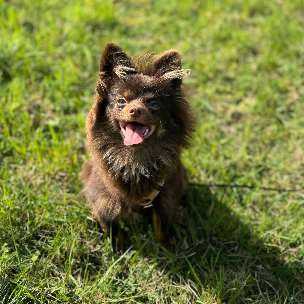 Soutěžní fotografie - Rocky,  Ostatní