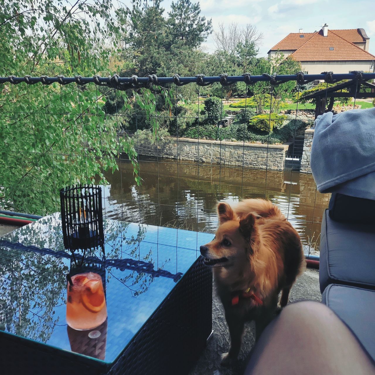 Soutěžní fotografie - Kiky,  Ostatní