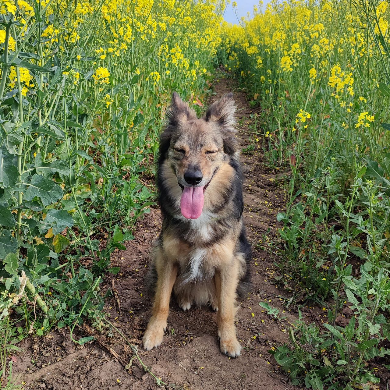 Soutěžní fotografie - Saša,  Ostatní