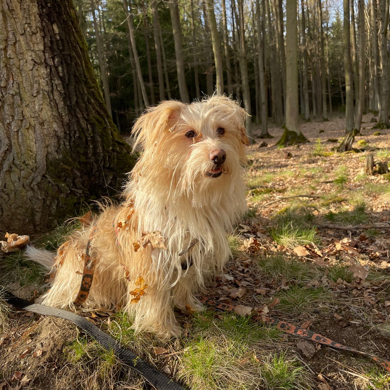Soutěžní fotografie - Rozárka,  Ostatní