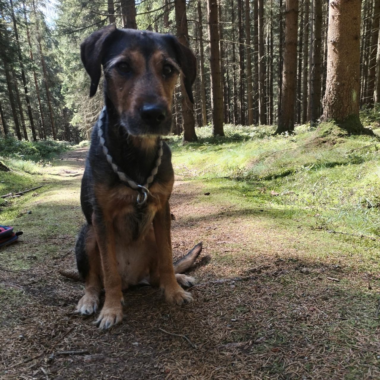 Soutěžní fotografie - Ellie,  Ostatní