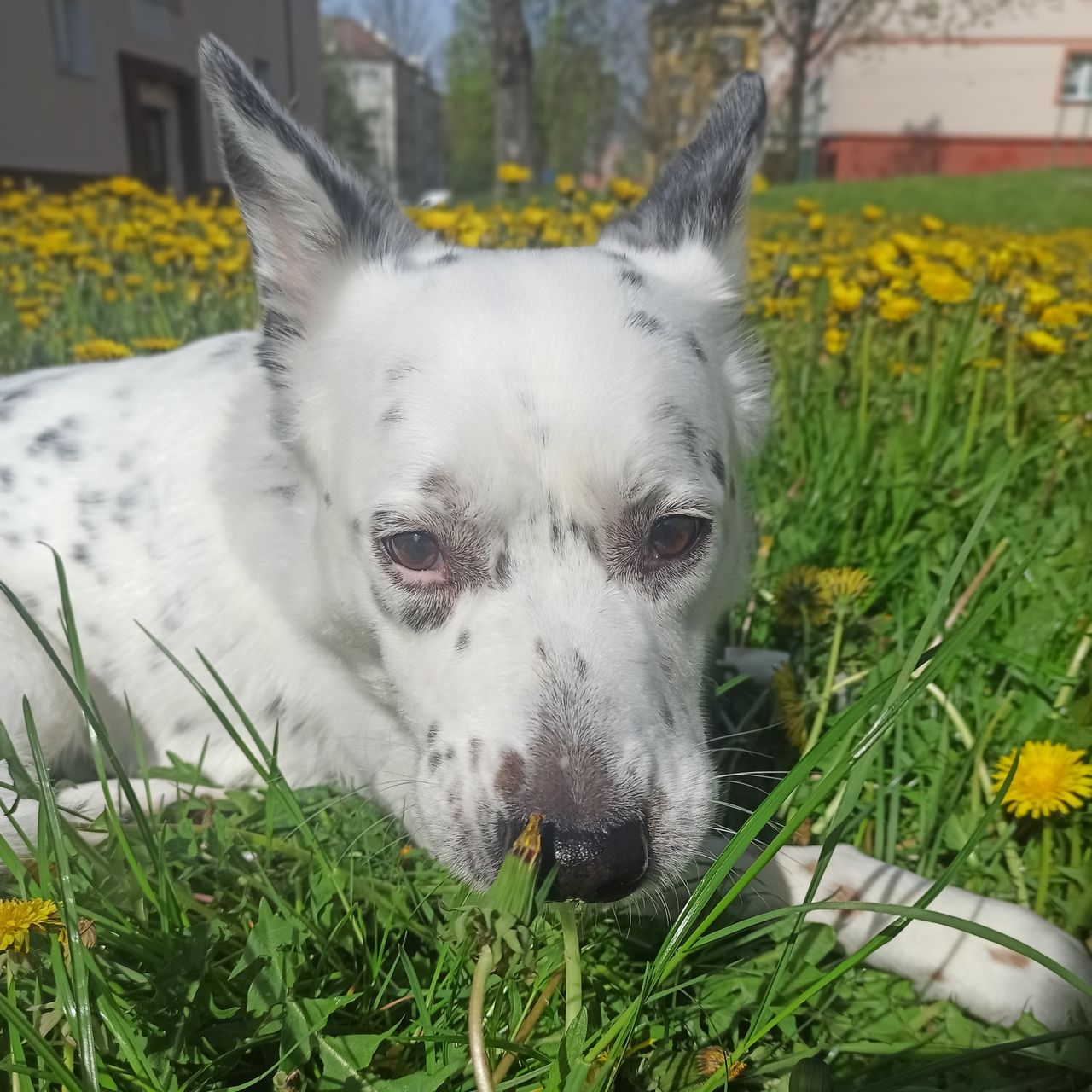 Soutěžní fotografie - Hiro,  Ostatní