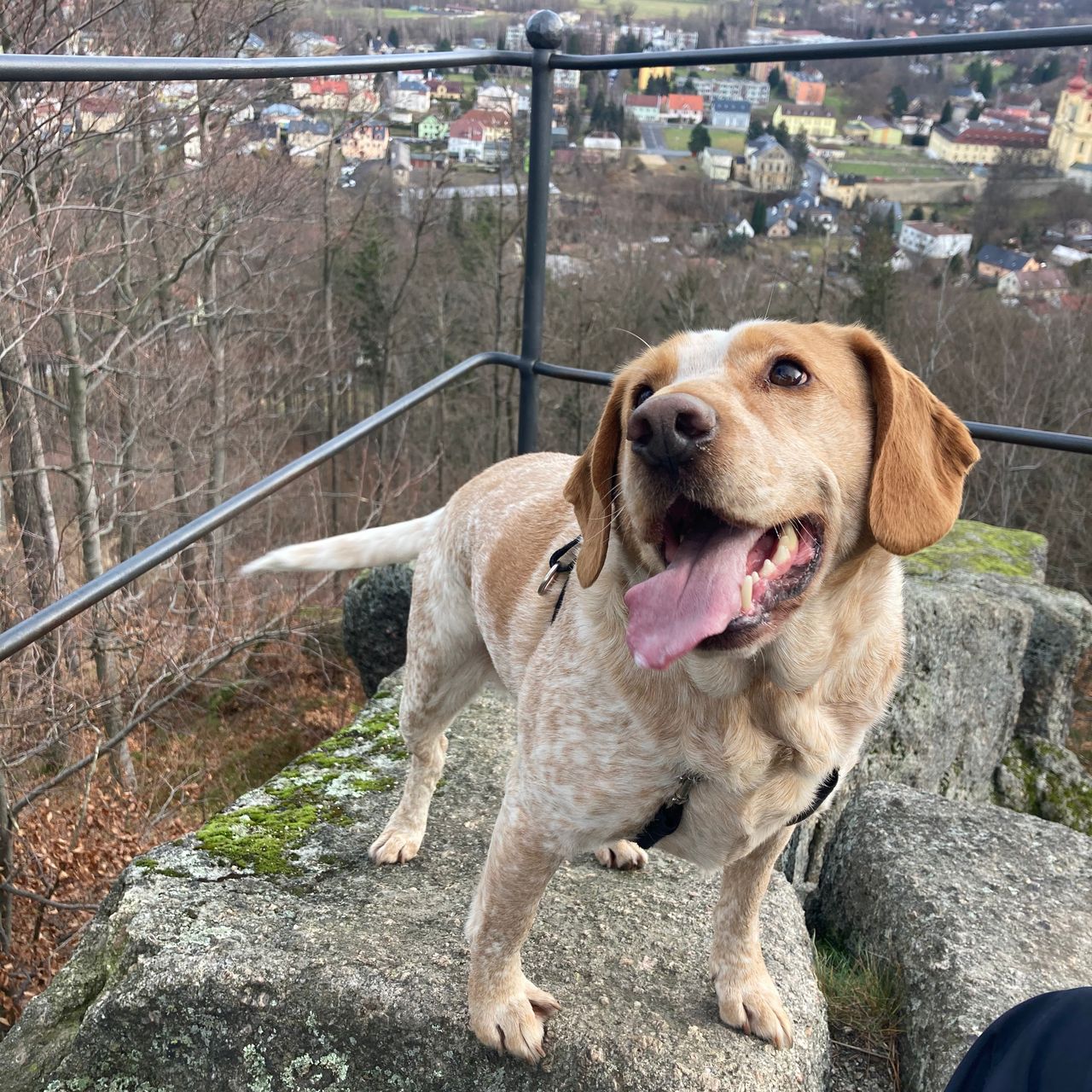 Soutěžní fotografie - Majky,  Ostatní