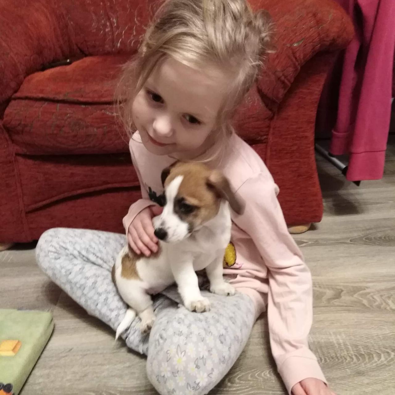 Soutěžní fotografie - Mia ,  Jack Russell Teriér