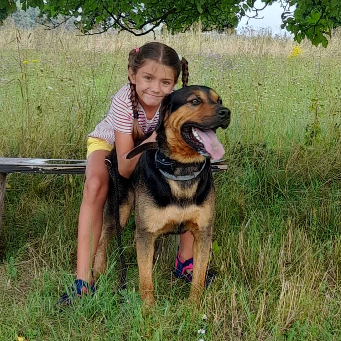 Soutěžní fotografie - Ben,  Labradorský retriever