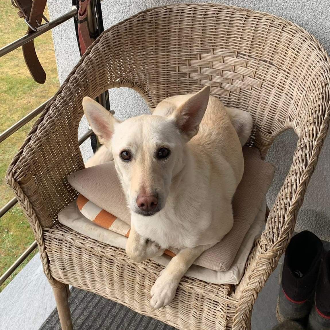 Soutěžní fotografie - Dášenka,  Ostatní