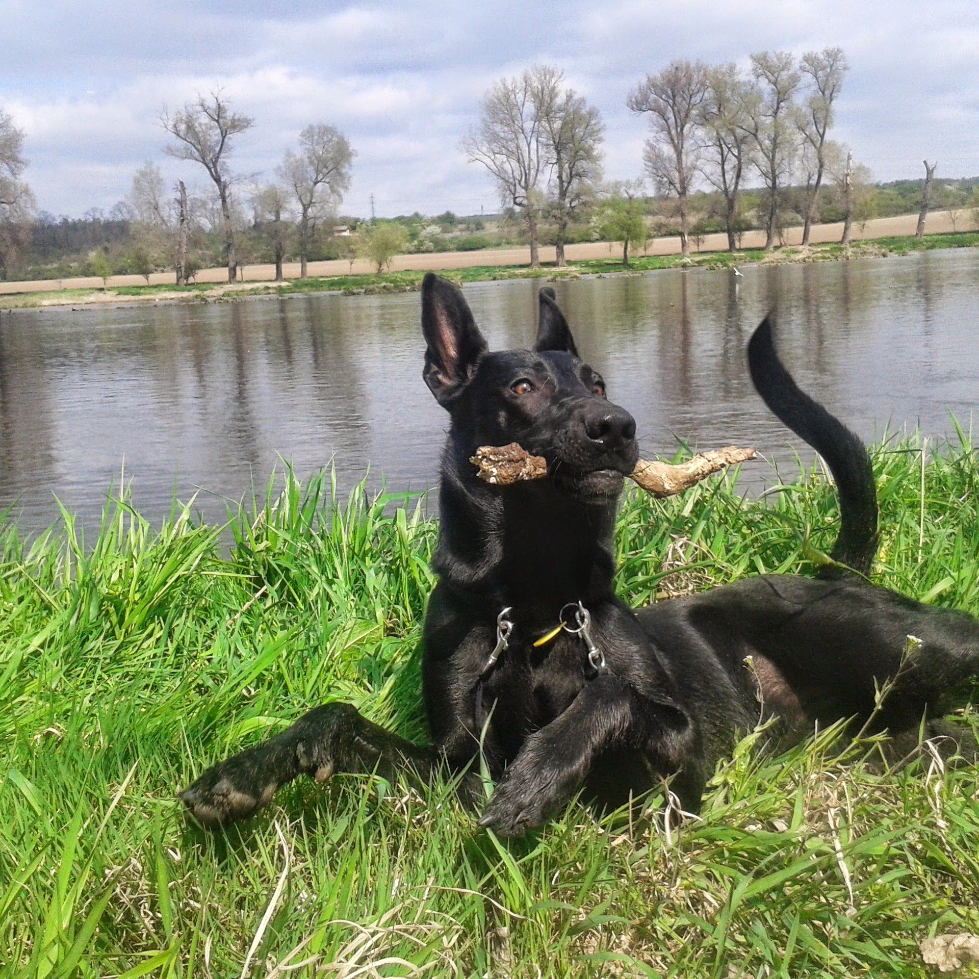 Soutěžní fotografie - Brita,  Ostatní