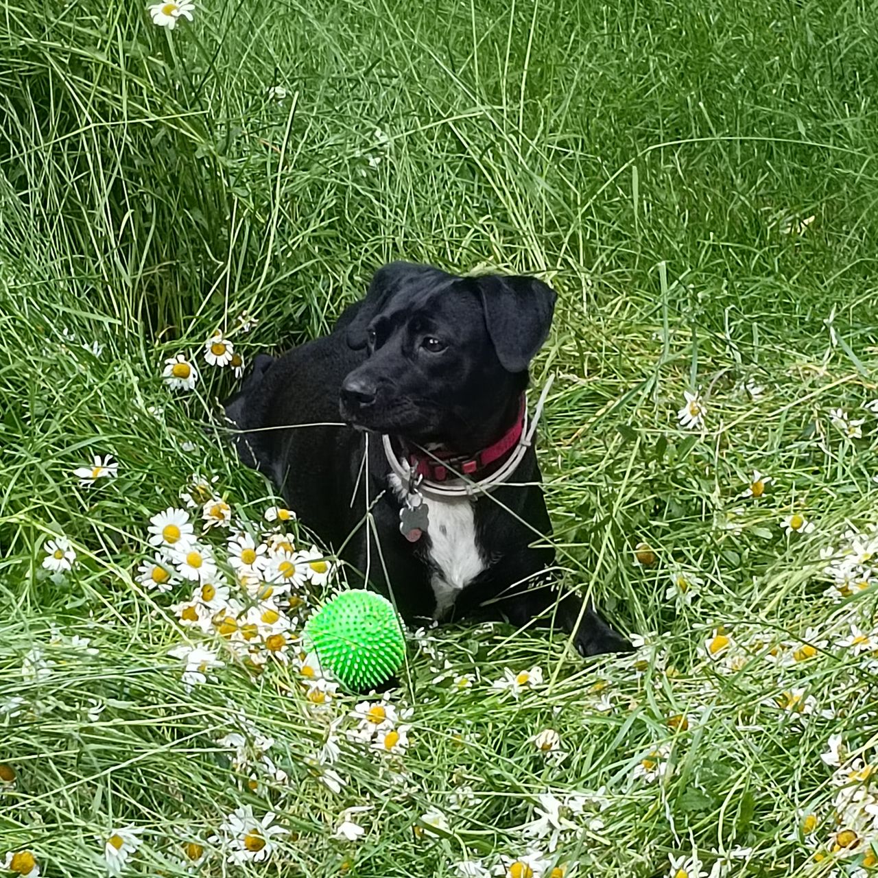 Soutěžní fotografie - Amy,  Ostatní