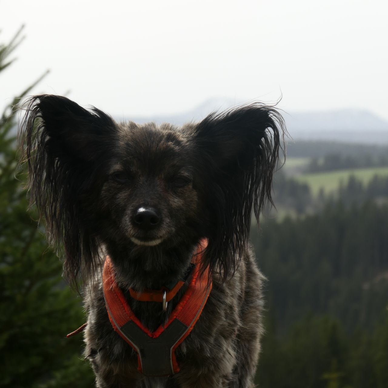 Soutěžní fotografie - Kokain,  Ostatní