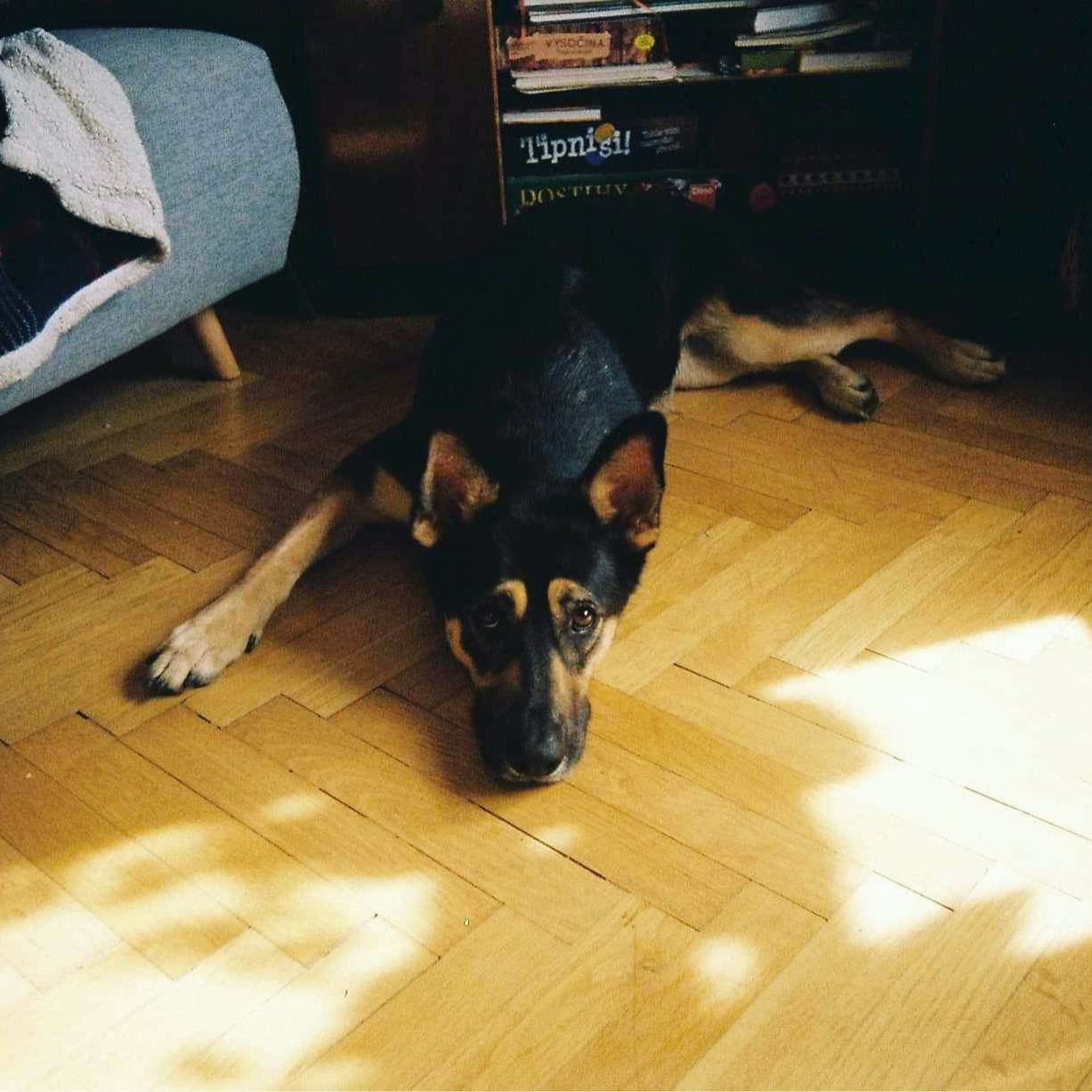 Soutěžní fotografie - Kora,  Ostatní