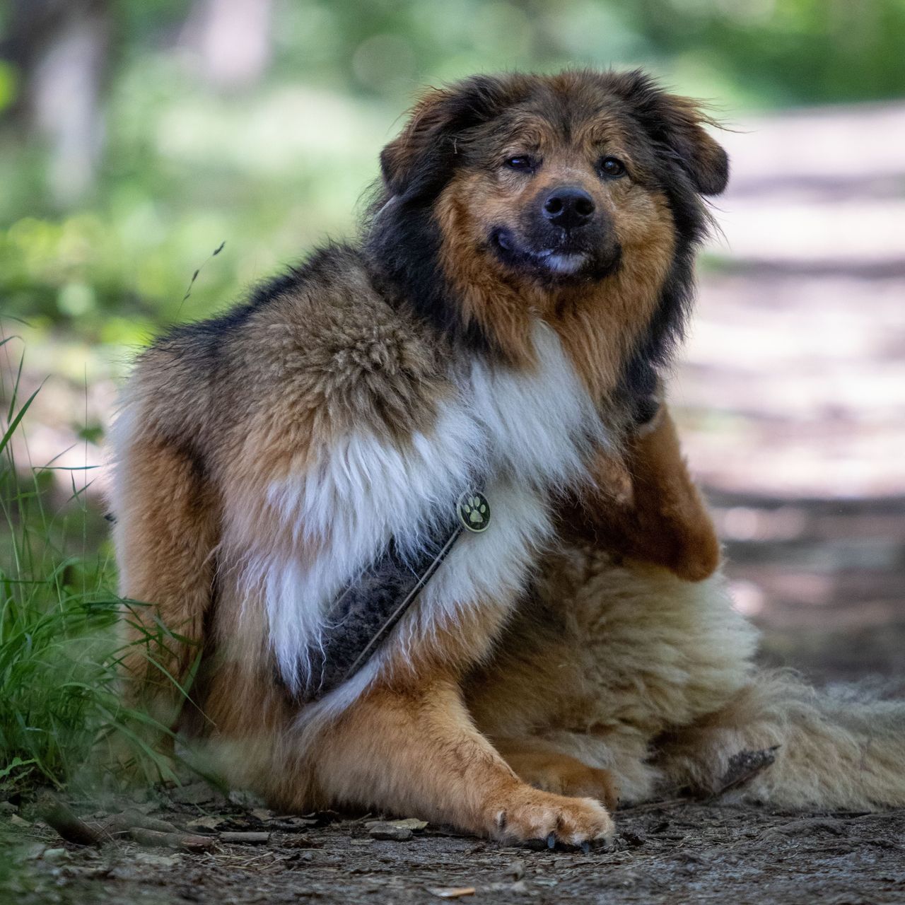 Soutěžní fotografie - Bejly,  Ostatní