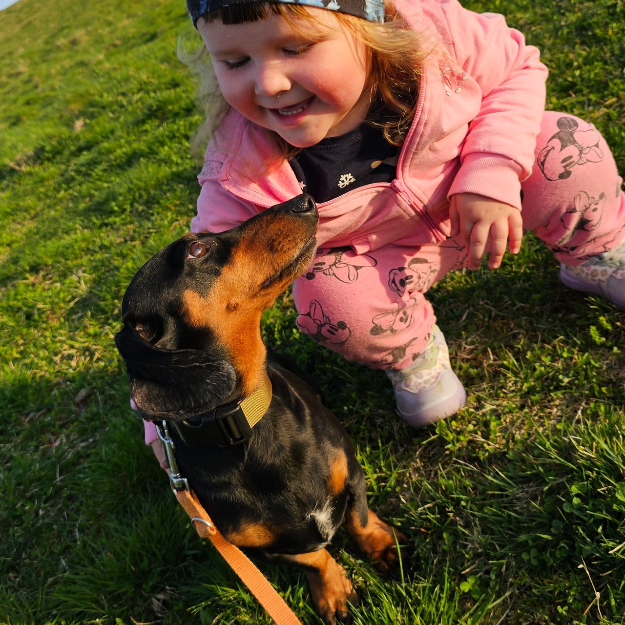 Soutěžní fotografie - Jessie,  Jezevčík