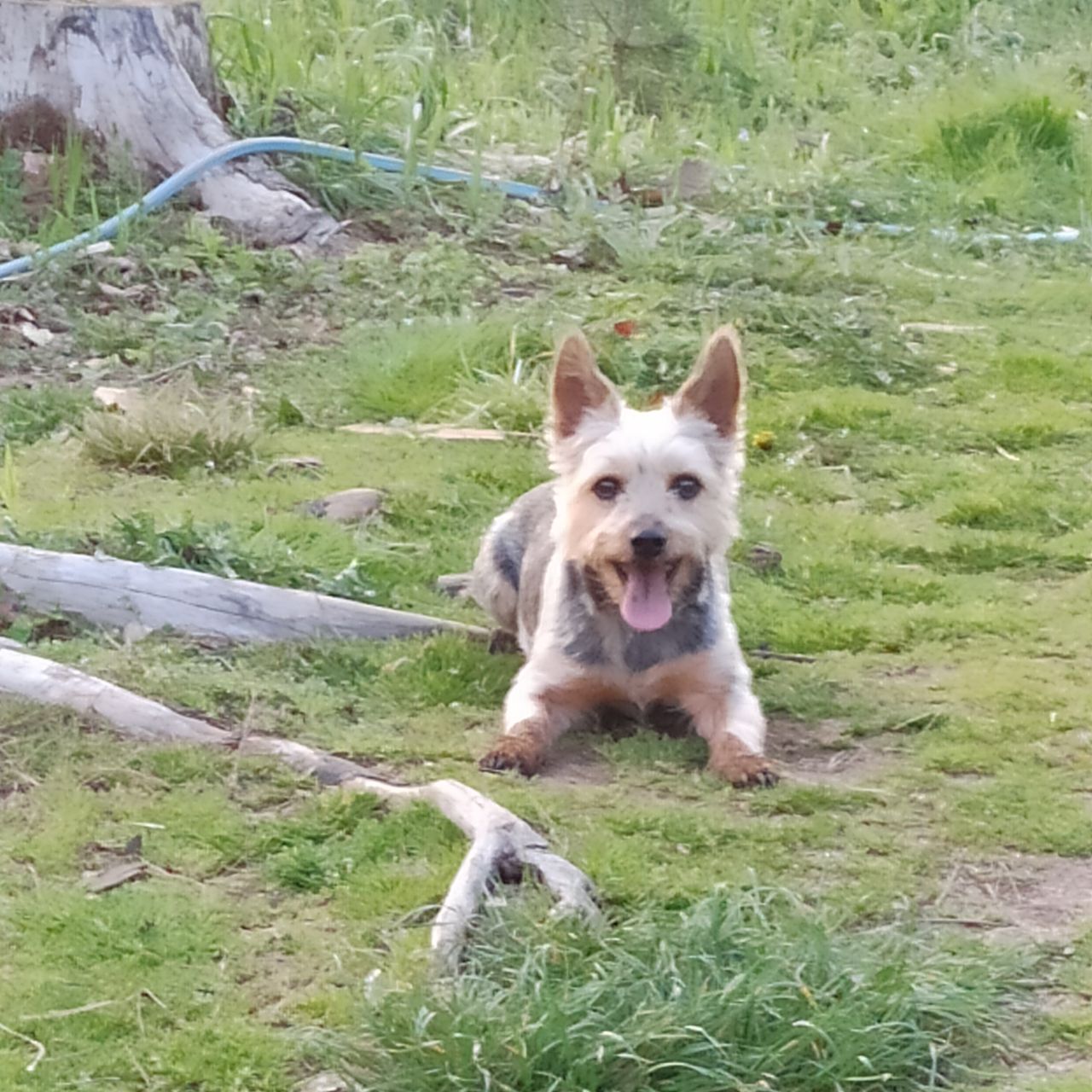 Soutěžní fotografie - Mija,  Ostatní