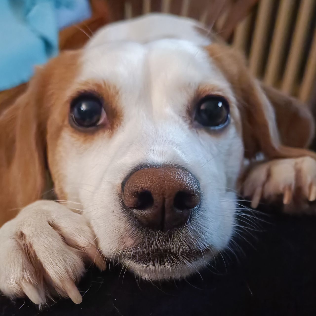 Soutěžní fotografie - Jessie,  Ostatní