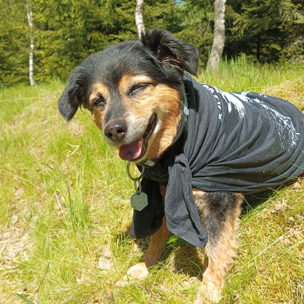 Soutěžní fotografie - Bady,  Ostatní