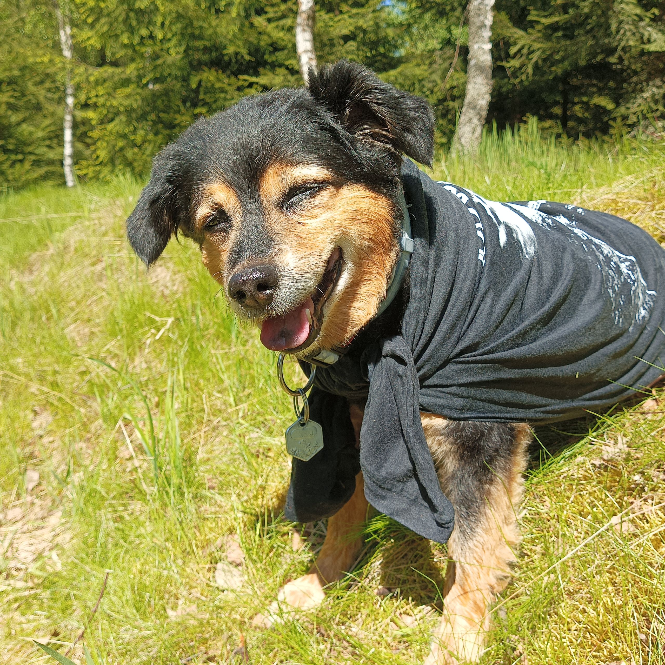Soutěžní fotografie - Bady,  Ostatní