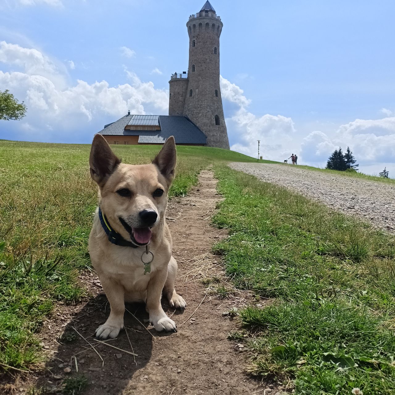 Soutěžní fotografie - Frankie ,  Ostatní