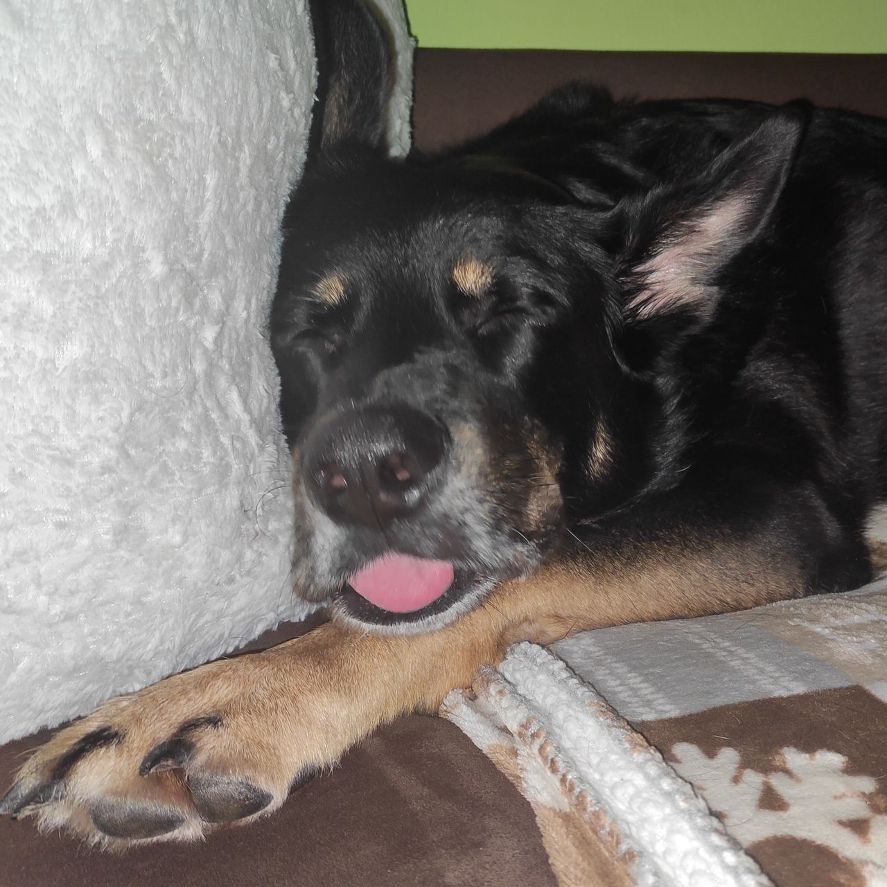 Soutěžní fotografie - ROXY,  Ostatní