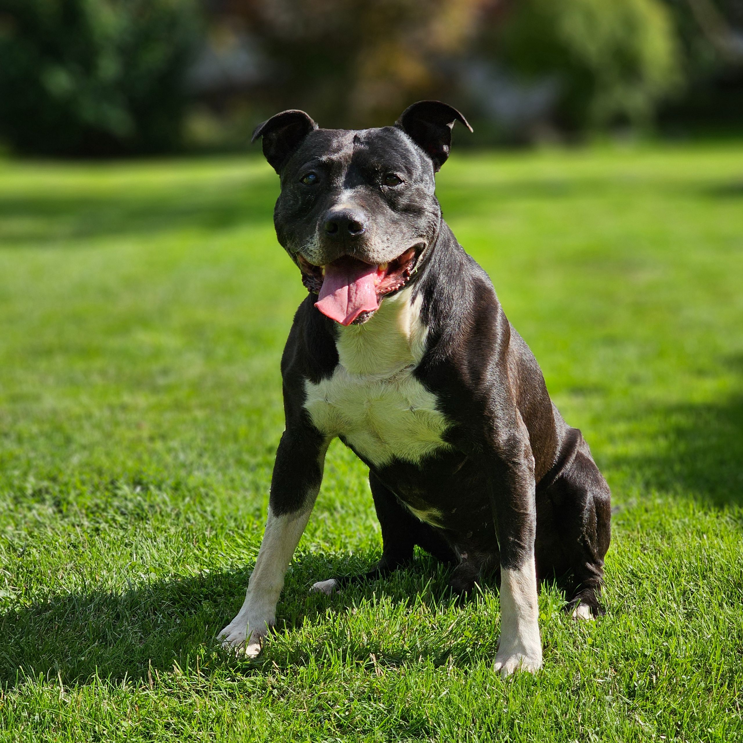 Soutěžní fotografie - Rocky,  Ostatní