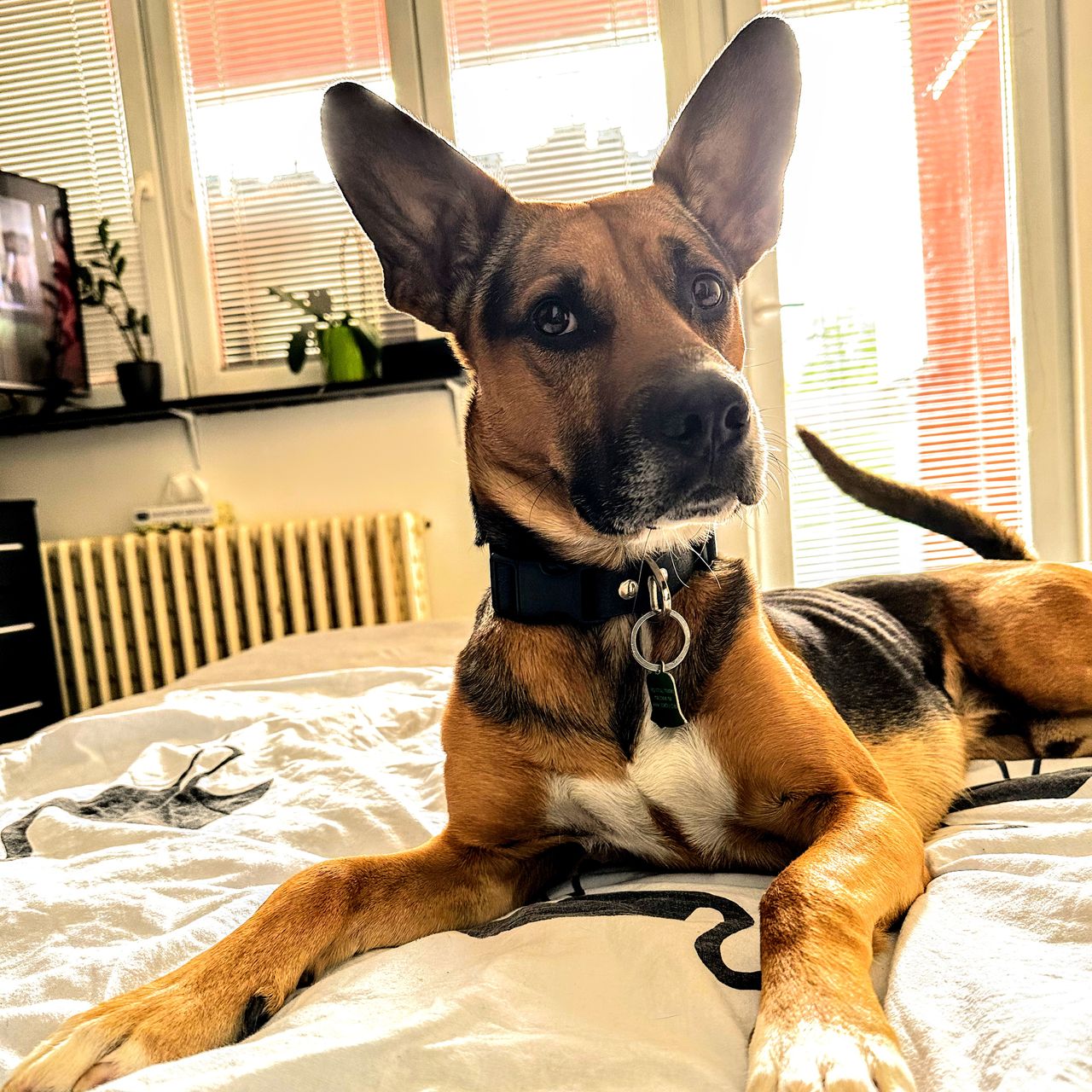 Soutěžní fotografie - Cash,  Ostatní
