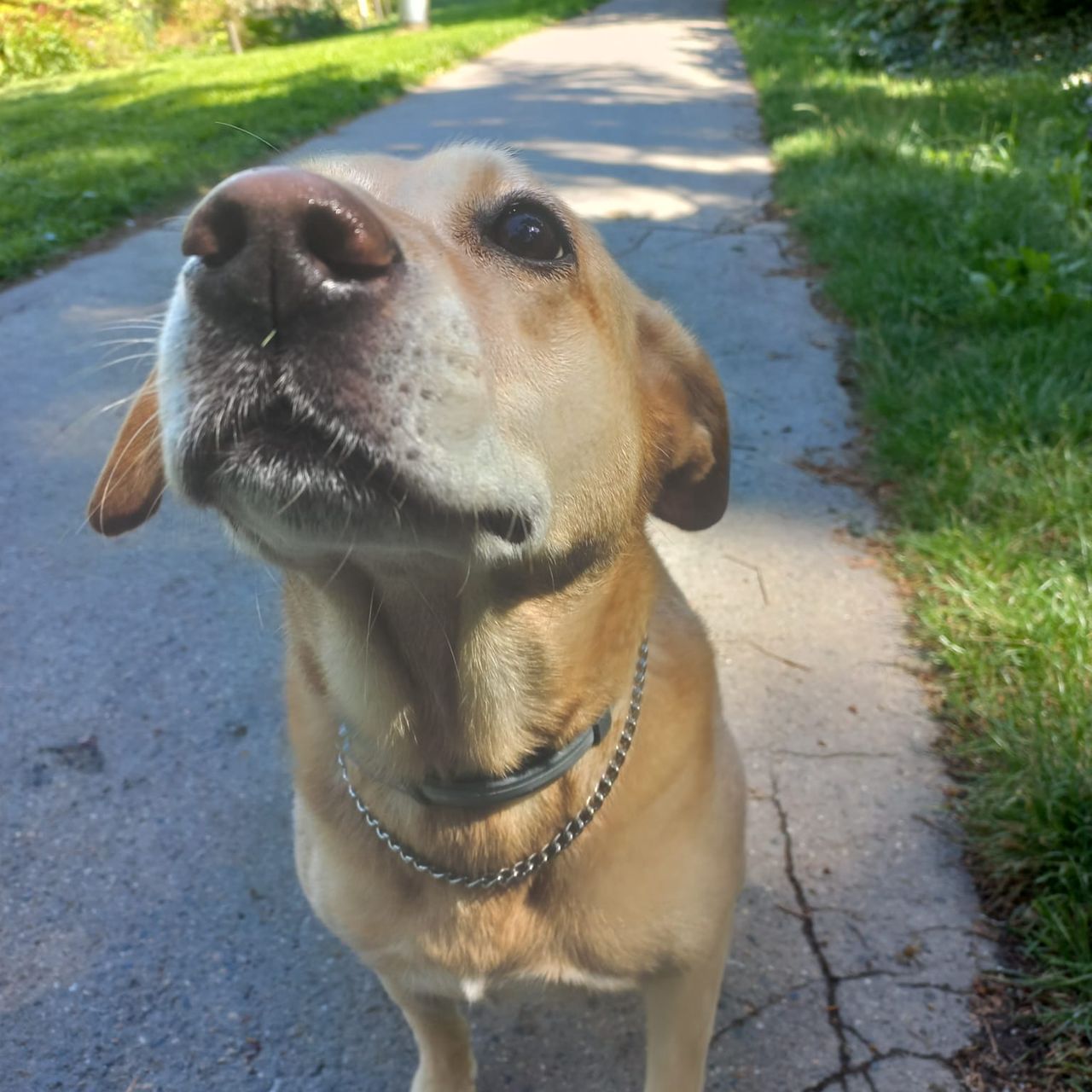 Soutěžní fotografie - Jessie ,  Ostatní