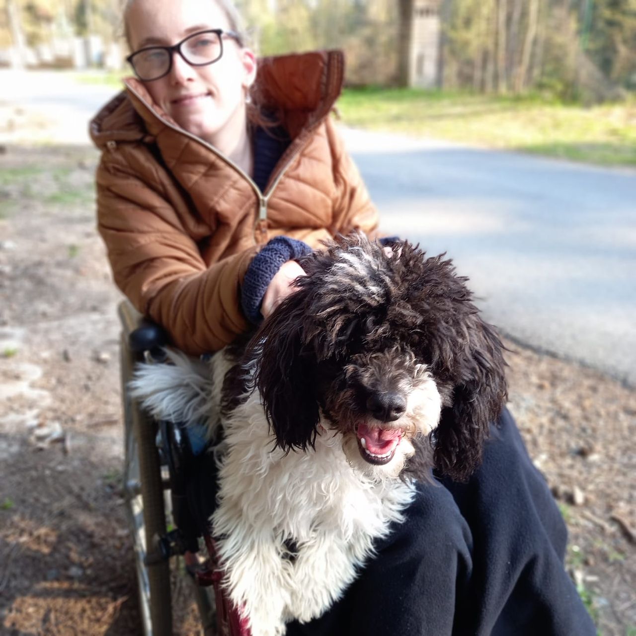 Soutěžní fotografie - Archie,  Pudl