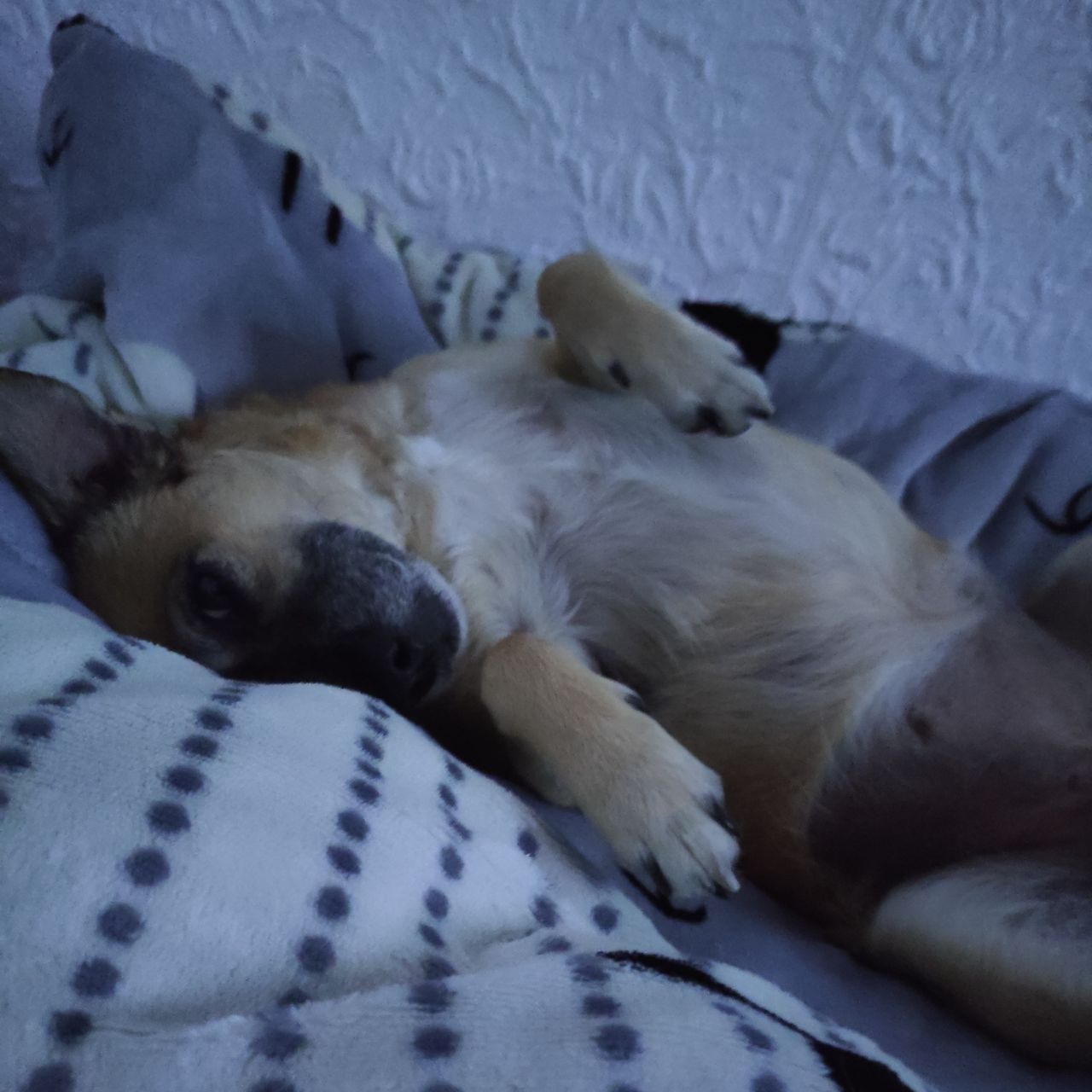 Soutěžní fotografie - Miuska,  Ostatní