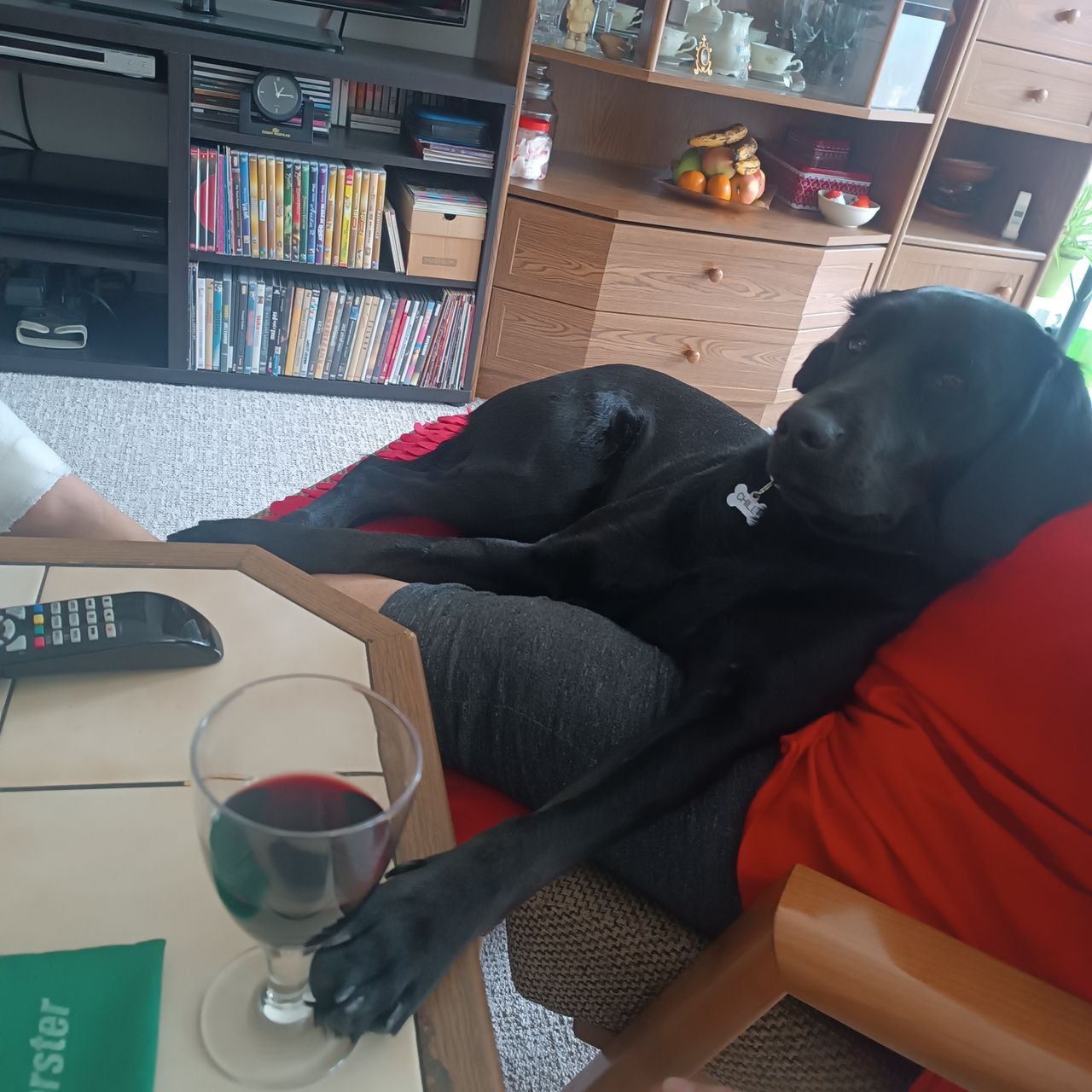 Soutěžní fotografie - Chilli ,  Ostatní