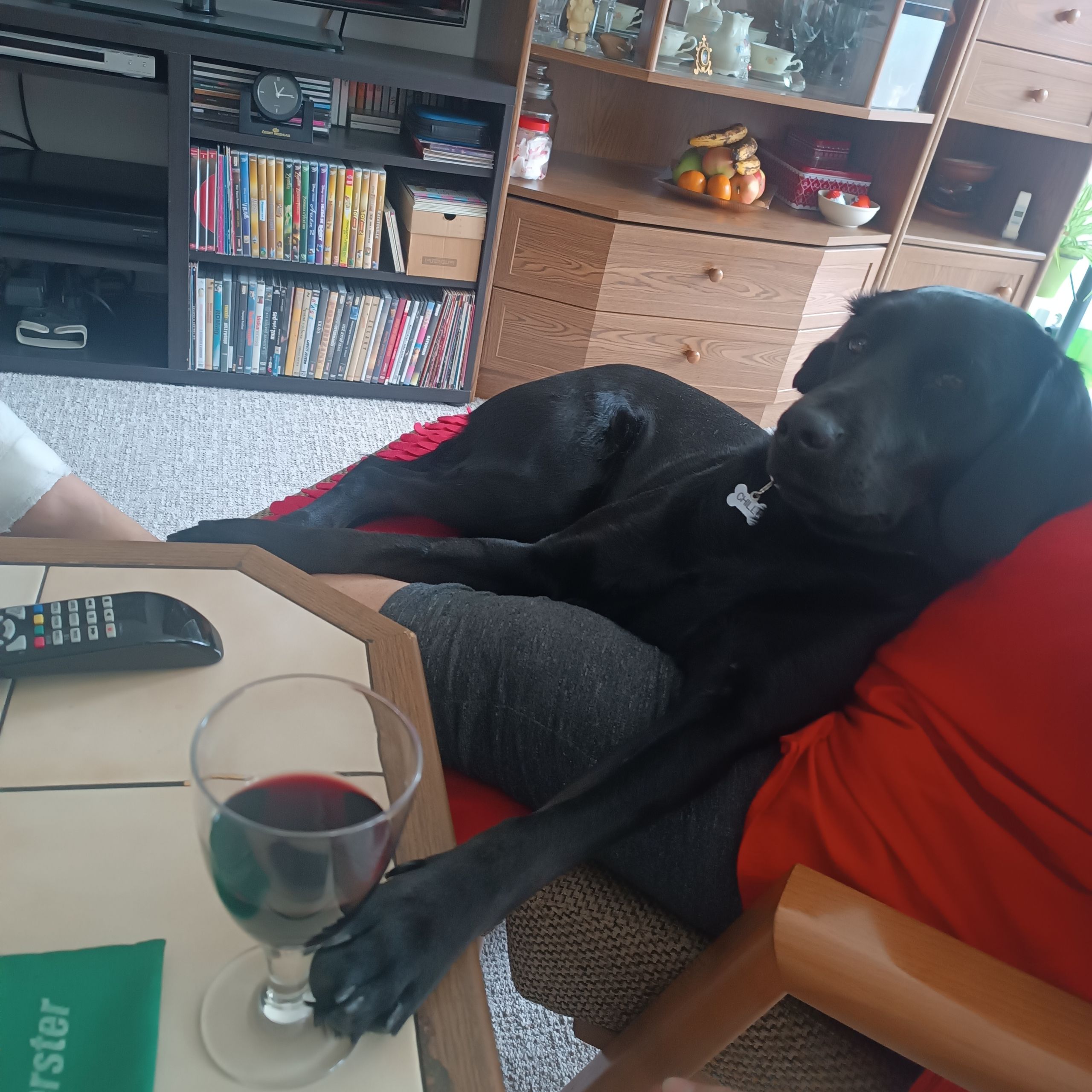 Soutěžní fotografie - Chilli ,  Ostatní