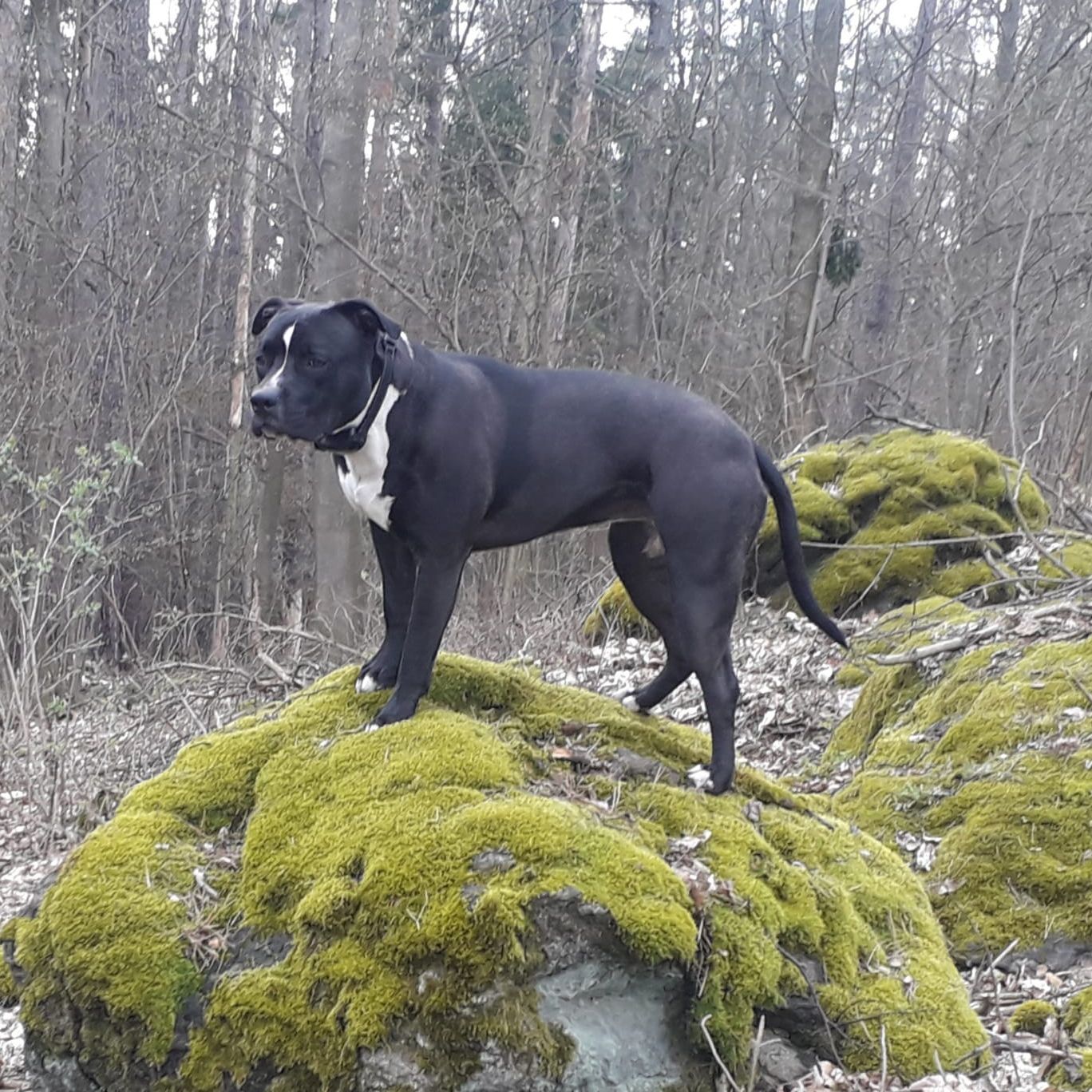 Soutěžní fotografie - Mejsa,  Ostatní